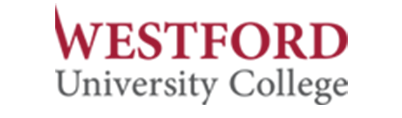 logo 16