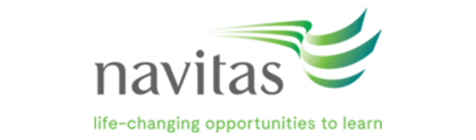 logo 31