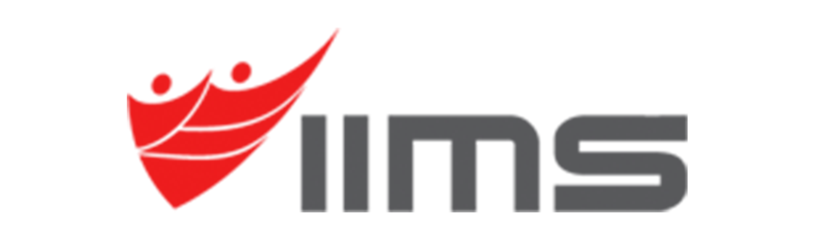 logo 33